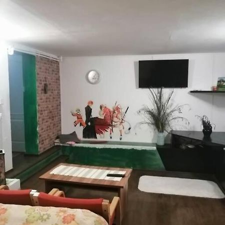 Moss'S Cave Apartment Тимишоара Екстериор снимка