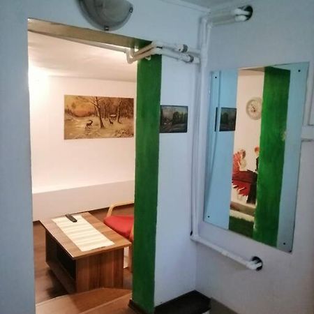 Moss'S Cave Apartment Тимишоара Екстериор снимка