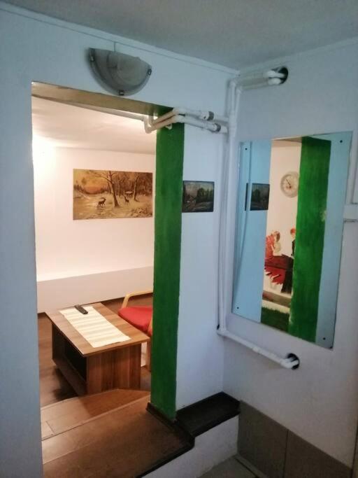 Moss'S Cave Apartment Тимишоара Екстериор снимка