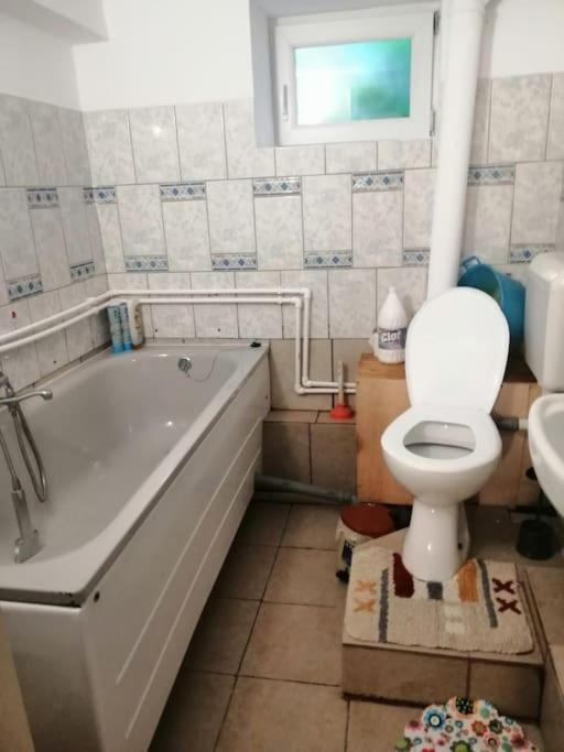 Moss'S Cave Apartment Тимишоара Екстериор снимка
